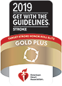 CHH Stroke Gold Plus Target Stroke Honor Roll Elite 2018